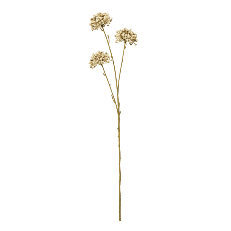 Anastasija Arrangement, 60 cm H x 5 cm W x 5 cm D, Brown