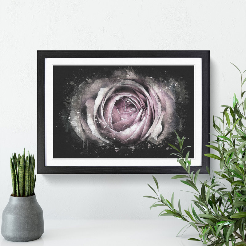 A Pale Pink Rose - Picture Frame Graphic Art Print, Black Framed, 24cm H x 33cm W x 2cm D