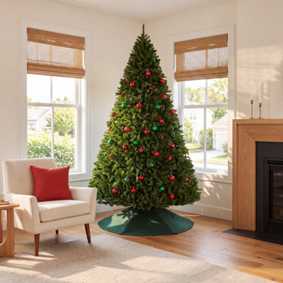 Spruce Christmas Tree