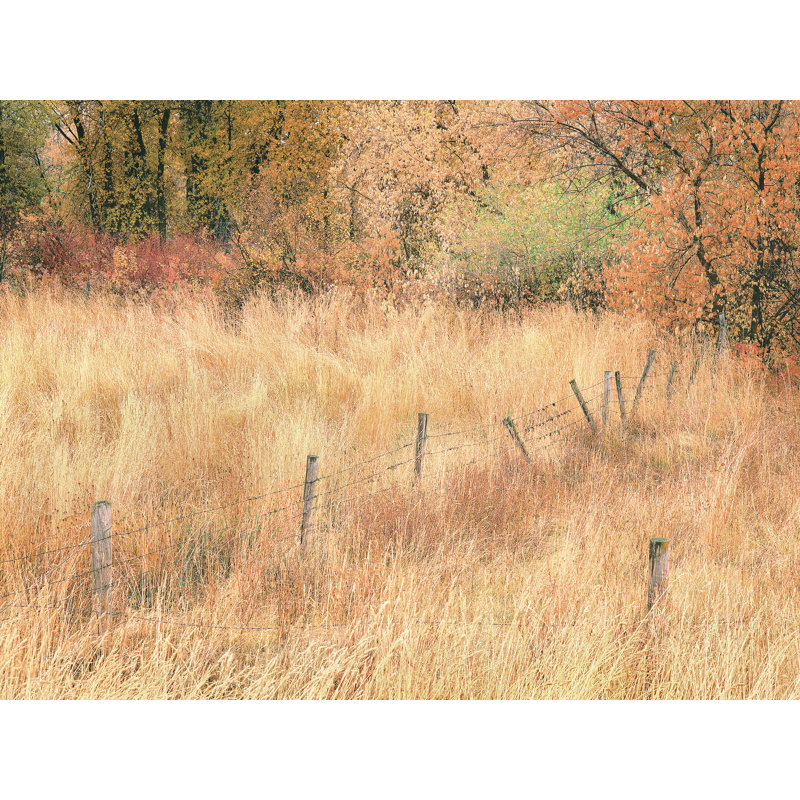 Swan Valley Autumn Portrait #7 Print by Bruce Heinemann, Wrapped Canvas, No Mat, 30" H x 40" W