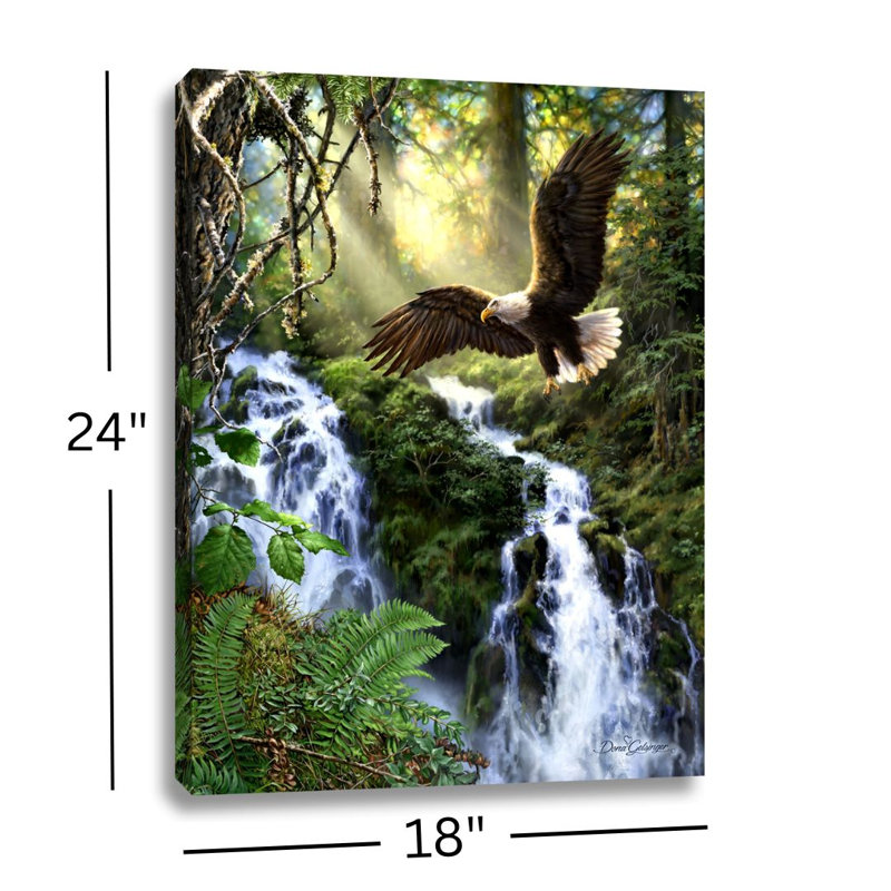 Eagle's Flight 18 x 24 entièrement imprimé à DEL ColorChange
