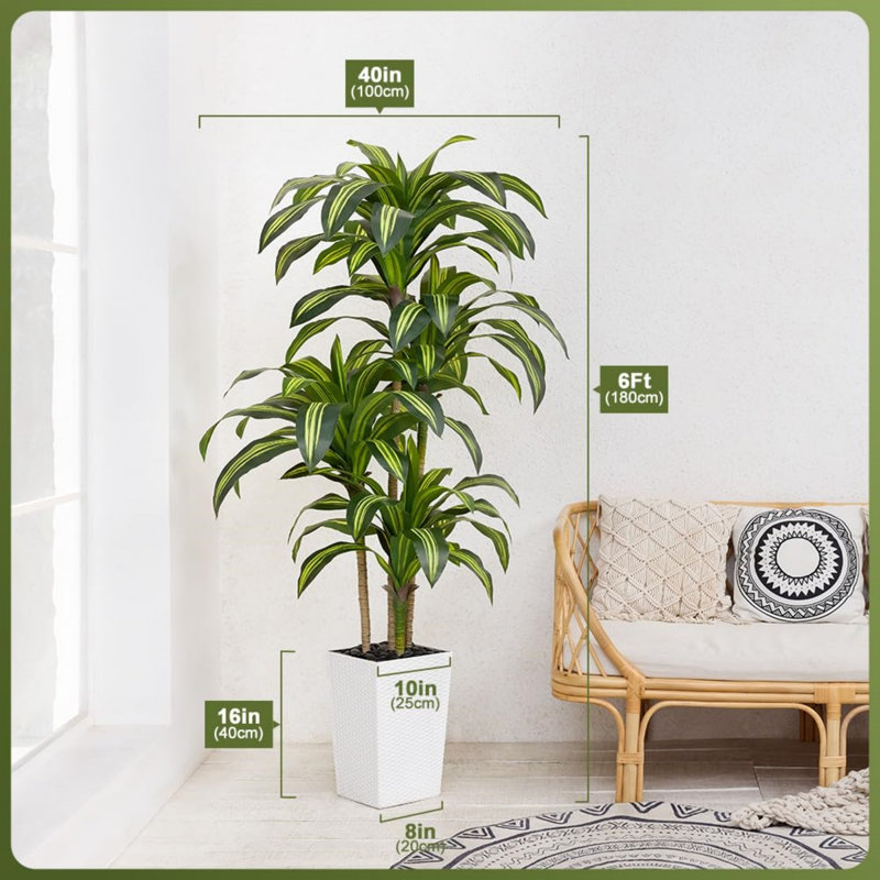 180 Cm Artificial Dracaena Tree With Taper Planter, White