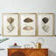 Antique Rays I - Impression sur mesure encadrée de qualité supérieure - 3 pièces-656860866-656860867