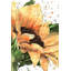 Tournesol en fleurs - imprimé floral encadré pour chambre à coucher-2084831722-2084831724