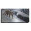 «Soft Snow-Cougar» par Ron Parker-1368478218