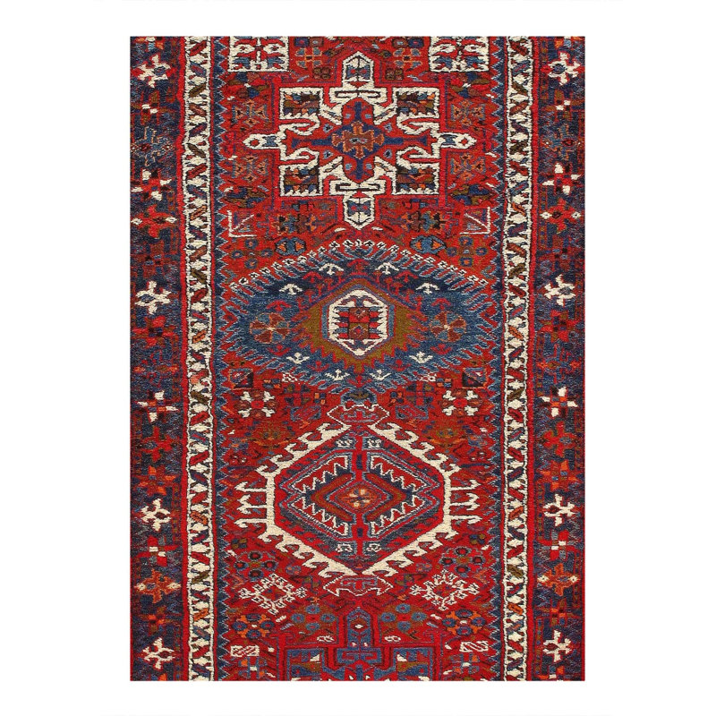 Oriental Area Rug
