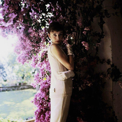 Red Barrel Studio® Hollywood Photo Archive Gallery Wrapped Canvas Art Titled: Audrey Hepburn (64_487034)