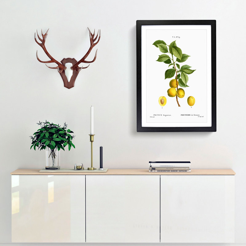 Apricot Tree Branch by Pierre-Joseph Redoute - Single Picture Frame Painting, Black Framed, 33cm H x 24cm W x 2cm D