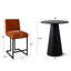 Ensemble de salle à manger moderne à hauteur de comptoir 30 po avec 2 tabourets de comptoir rembourrés Modern-1354687871