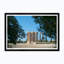 Jupiter Framed By Olive Trees Print