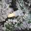 Fraser Hill Farm 10-Ft. Flocked Mountain Pine Christmas Tree With Smart String Lighting, FFMP010-3SN-758411560