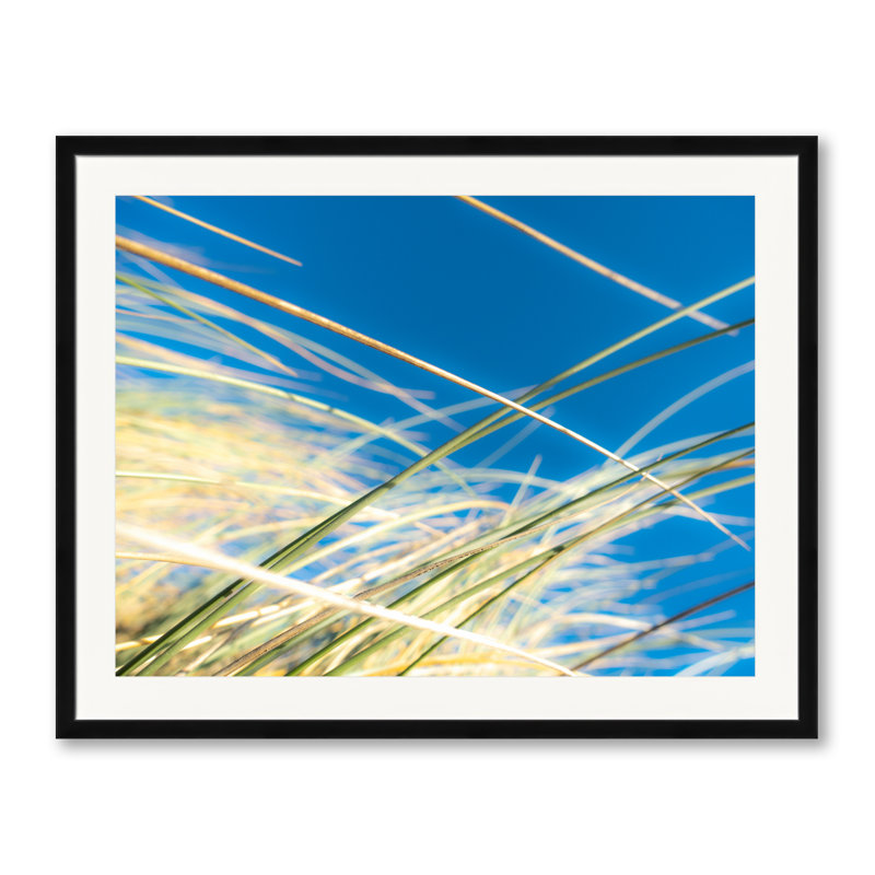 Dune Grasses 01940 Print by Petra Trimmel, 24" H x 30" W, Black Framed Paper