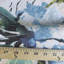 Boutique Capella Fabric