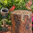 Backyard Bird & Wildlife Feeding Station