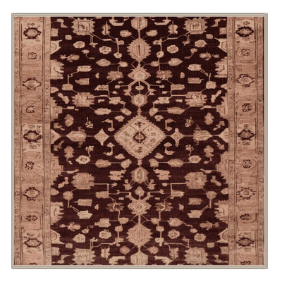 Machine Washable Overdyed Brown Area Rug
