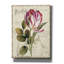«Garden View II» par Lisa Audit, art mural sur toile-1274639353