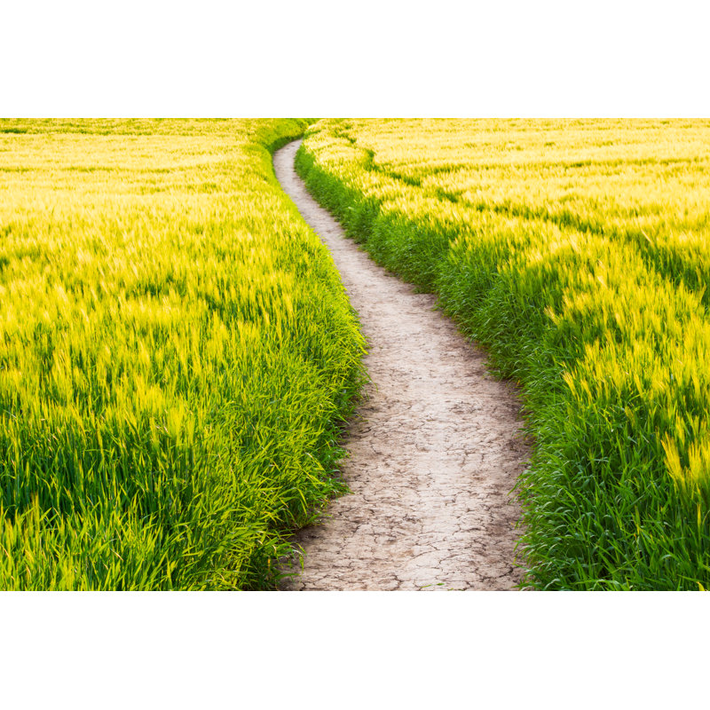 Summer Path by Benedek, 8" H x 12" W