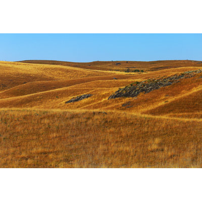Pampa Meadows in the Hills par Agustavop
