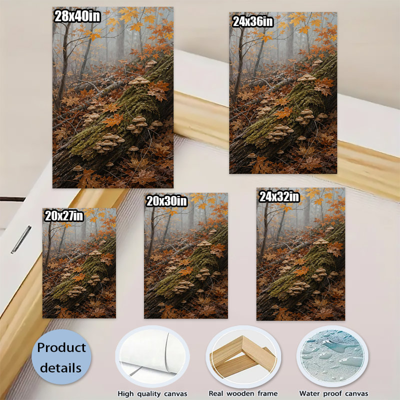 Misty Autumn Forest Scene, 20 x 24 po