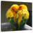 Brampt Lovebirds Snuggle-109210111