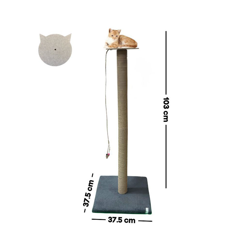 Grattoir pour chat, Anthracite