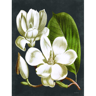 " Magnolia "