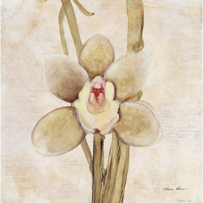Orchid II by Cheri Blum