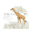 «Serengeti Giraffe Square» par Tara Reed - impression-52991571-52991565-52991566