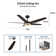 Fundora Ceiling Fan with LED Lights