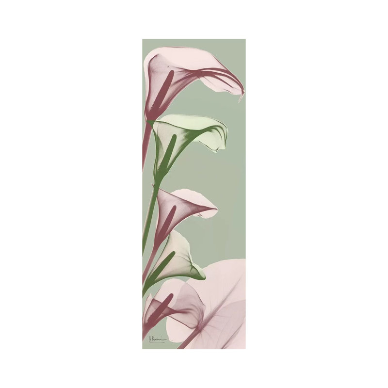 Spring Time Calla Lilies 1 Piece Wrapped Canvas Panoramic Wall Art, 30.48 cm H x 91.44 cm W x 3.175 cm D