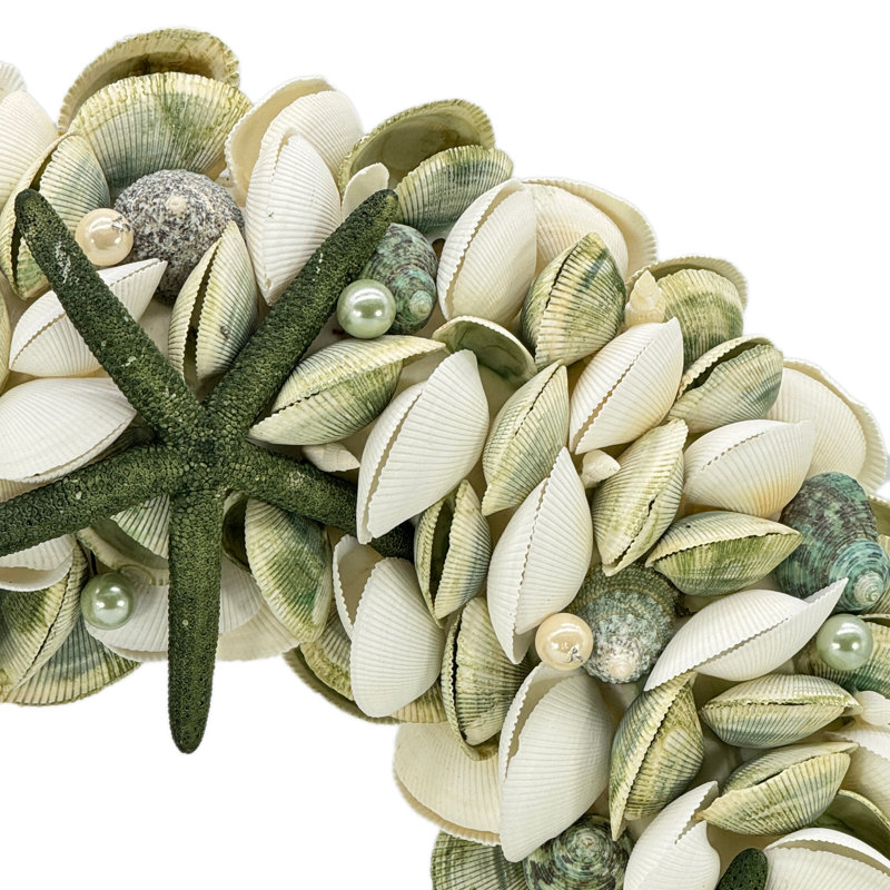 Coastal Seashell Wreath - 17"