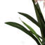 100cm Faux Plant in Pot