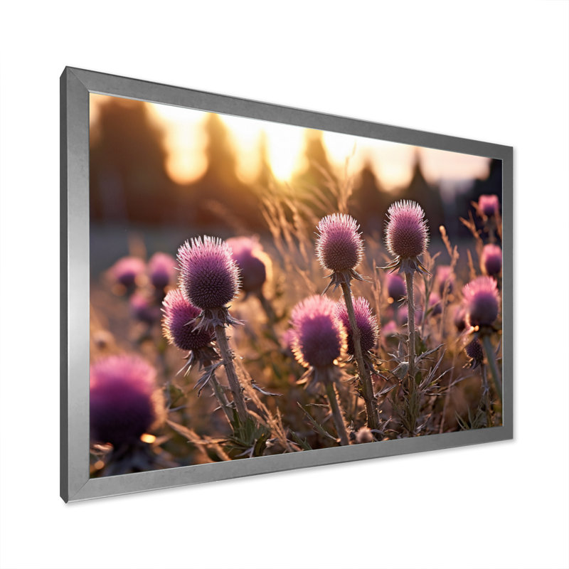 Mauve, vert, chardon, chuchotement, plante, II, Cadre photo argenté, H 34 po x l 44 po x P 1,5 po