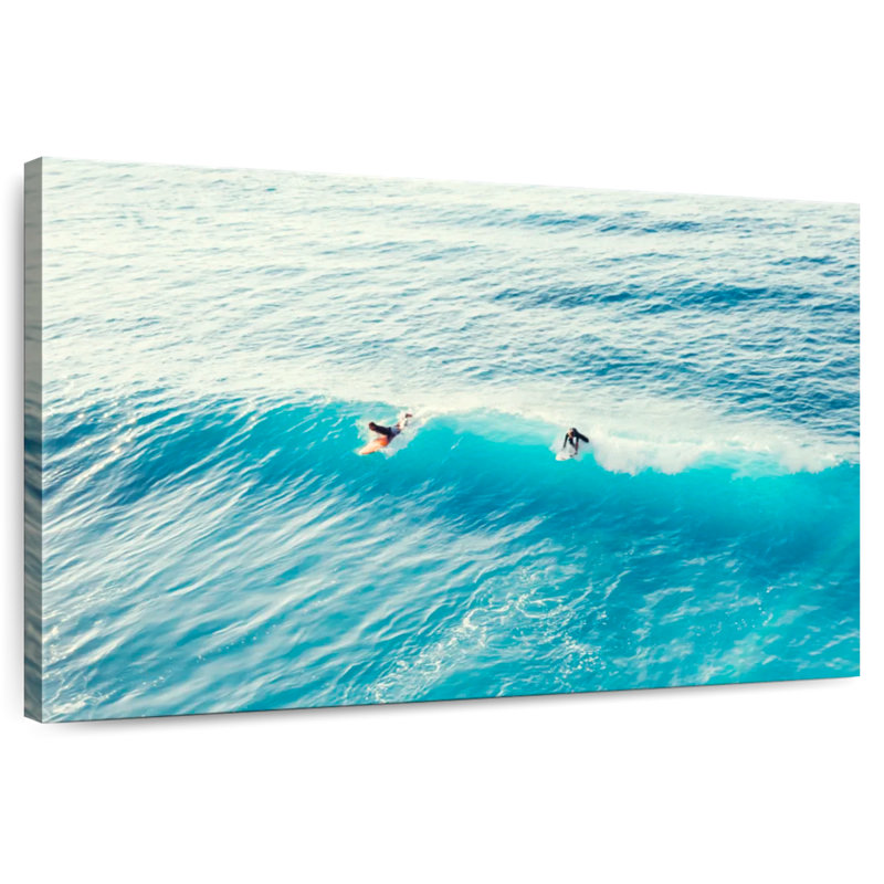 Duo Sirci Surfer, H 34 po x l 51 po