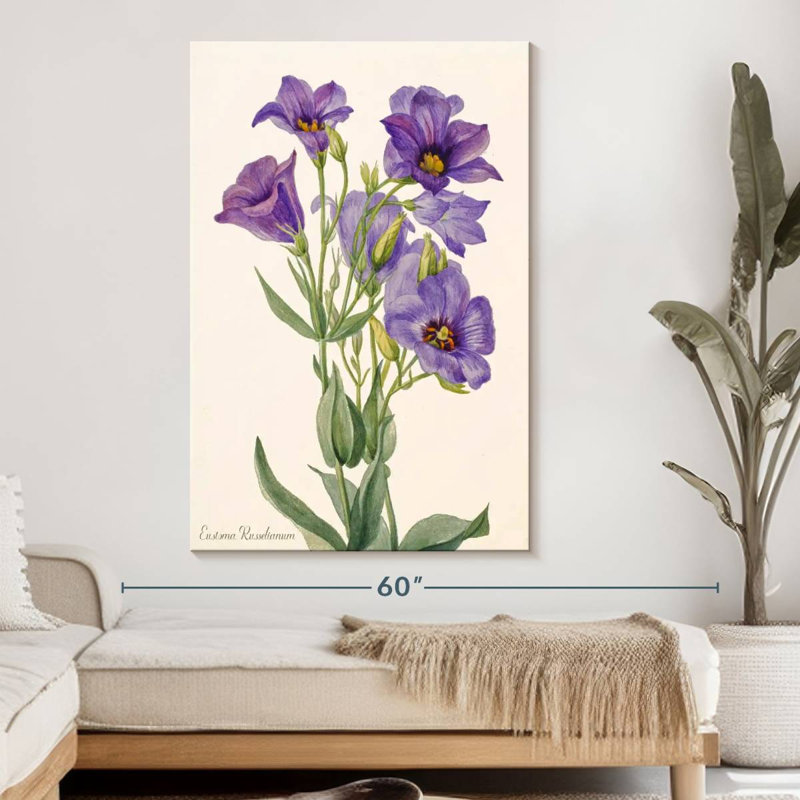 Eustoma Russelianum, 51" H x 34" W