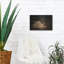 «Resting Bunny Rabbit 5» par Marian Parsons, art mural en métal-247679965
