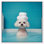 «Fluff in the Tub Canvas» par Art Remedy