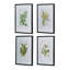 Ensemble de 4 fleurs murales botaniques