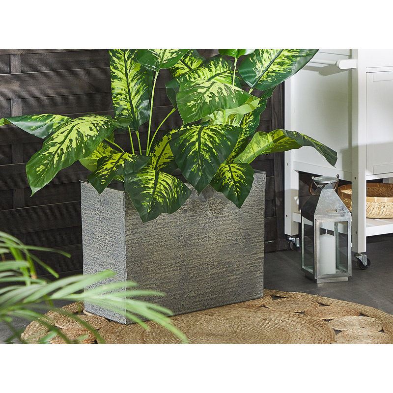 Adelia Pot Planter, 45cm H x 60cm W x 25cm D