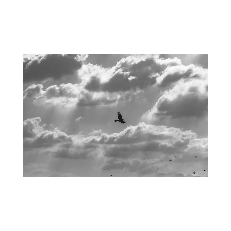 Soaring High by Nirs Photography - Wrapped Canvas Gallery-Wrapped Canvas Giclée, 30.48 cm H x 45.72 cm W