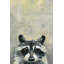 'Oh Raccoon' Canvas Art-27175539