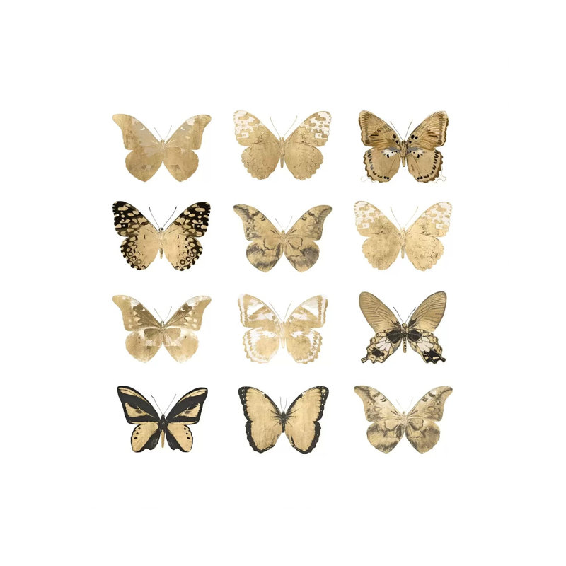 Butterfly Study In Gold II by Julia Bosco - Gallery-Wrapped Canvas Giclée on Canvas, 45.72cm H x 45.72cm W, Wrapped Canvas
