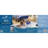 Simmons Beautysleep Siesta Memory Foam Rollup Bed