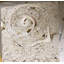 6" x 6" SeaStone Cut Shell Scroll Fossil Bevel Edge Medallion Tile in Buff