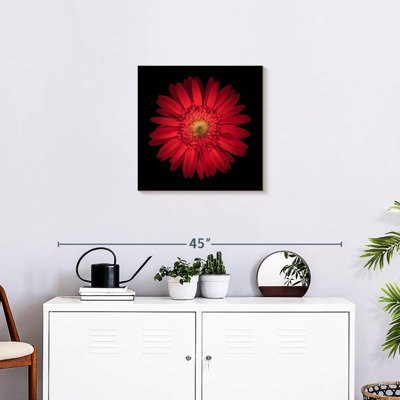 Harnek Bright Red Daisy