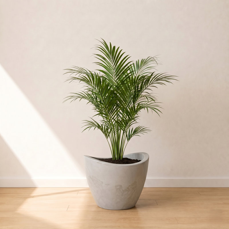 Vinisha ECOBO EcoFriendly Round Pot Planter, Onda IndoorOutdoor use, Four Season Use, White, 11.8" H x 15.8" W x 15.8" D