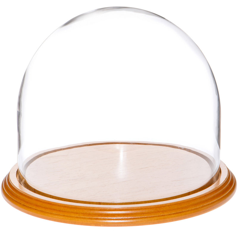 Cloche à dôme en verre 8 "x 6,5" Jenett, Pas de base