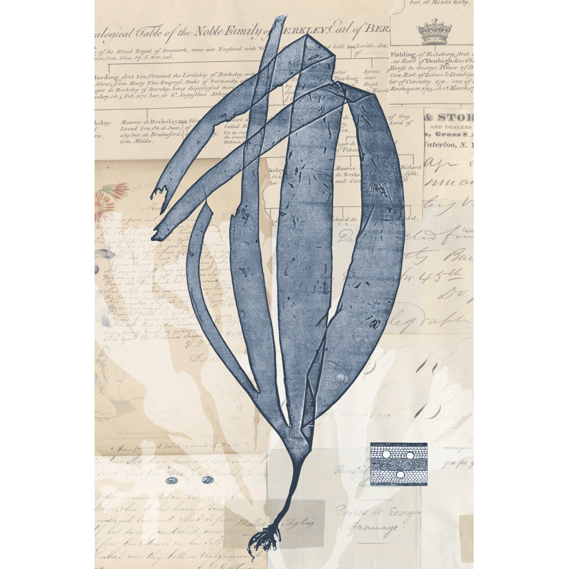 Seaweed Arrangement IV by Vision Studio - Print on Canvas, 46cm H x 30cm W, Black Floater Framed