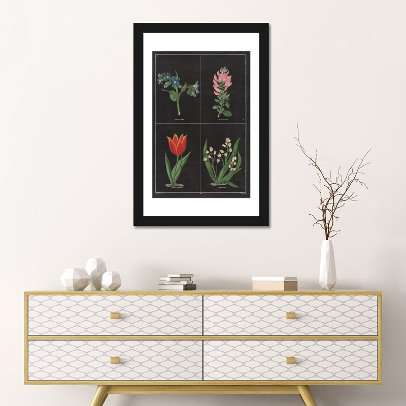«Botanical Chart III», impression sur toile tendue, H 24 po x l 16 po x P 1 po, Papier beaux-arts encadré noir, Blanc