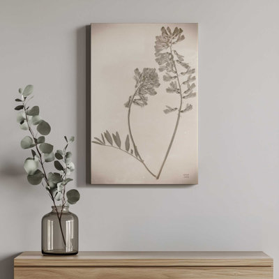 «Wildflower Journal Vintage VI» par Nathan Larson, reproduction d'art sur toile